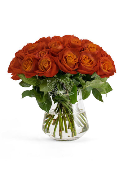 Terracotta Long Stemmed Roses | Blooming Emotions