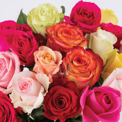 Light Pink, Red, Bi-colored, White, Yellow, Cream Long Stem Roses