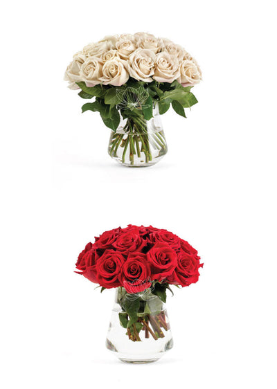 50 Fresh Roses Wedding Sample Box