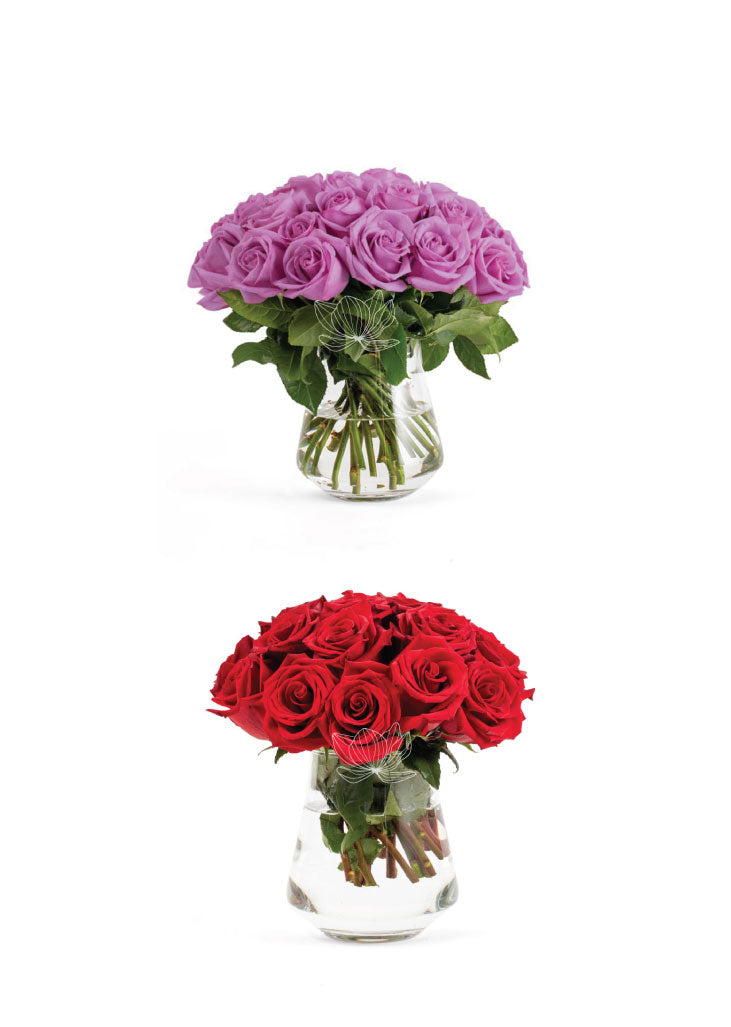 50 Fresh Roses Wedding wers Sample Box · Long Stems 20