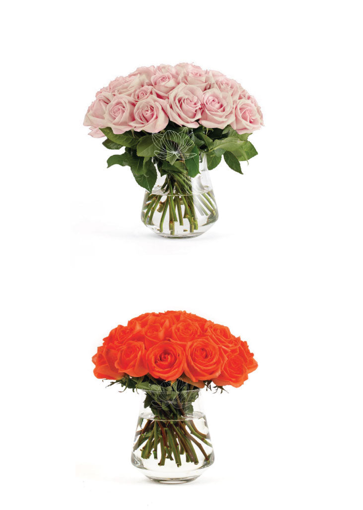 50 Fresh Roses Wedding wers Sample Box · Long Stems 20