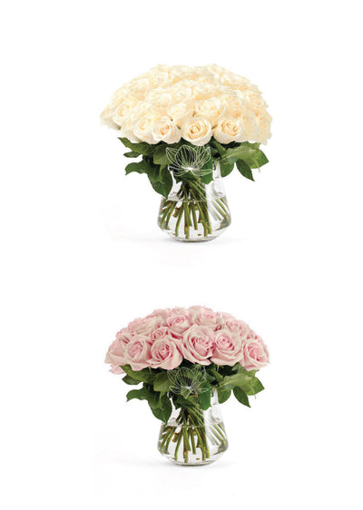 50 Fresh Roses Wedding Sample Box