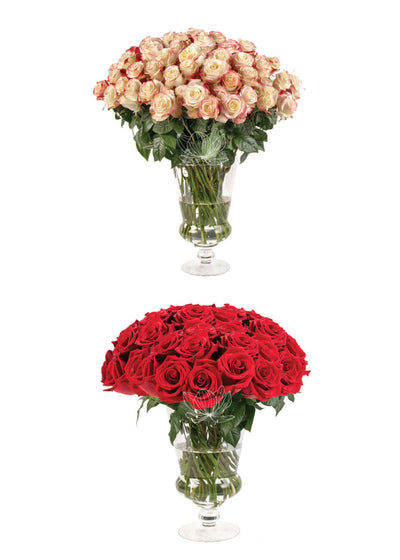 100 Roses Build your Box · Long Stems 20 "