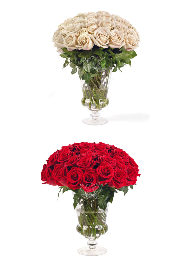 100 Roses Build your Box · Long Stems 20 "