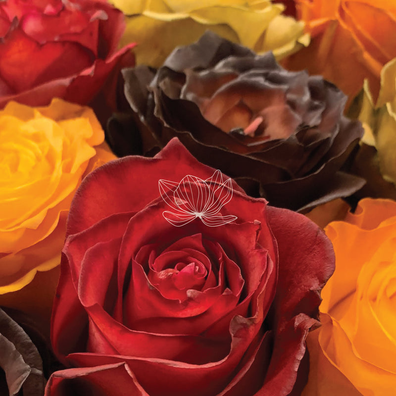Natural Fall Color Roses Fall Tones Tinted Long Stem Roses | Online Gift Flowers | Blooming ...