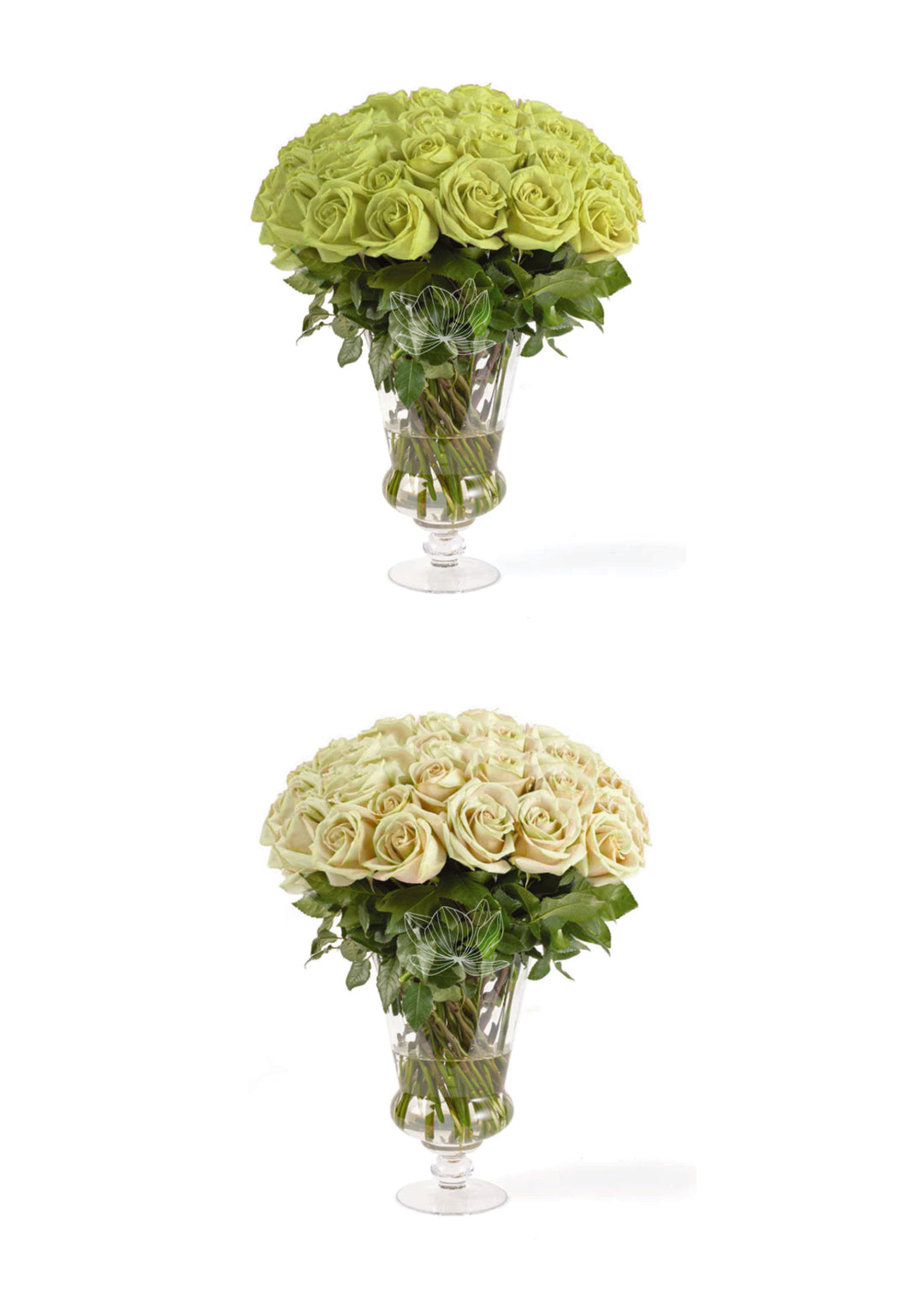 Rosesさん専用 greenandcream_1080x.jpg?v=