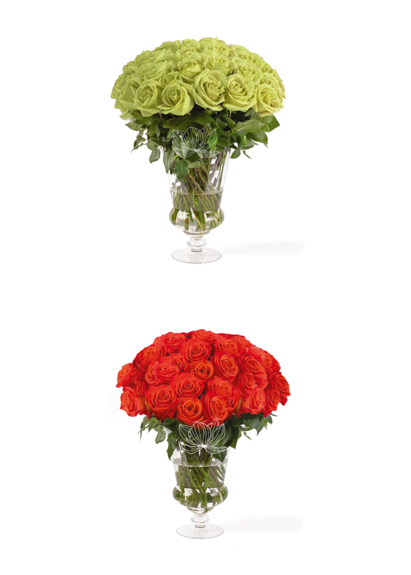 100 Roses in Elegant Gift Box · Long Stems 20