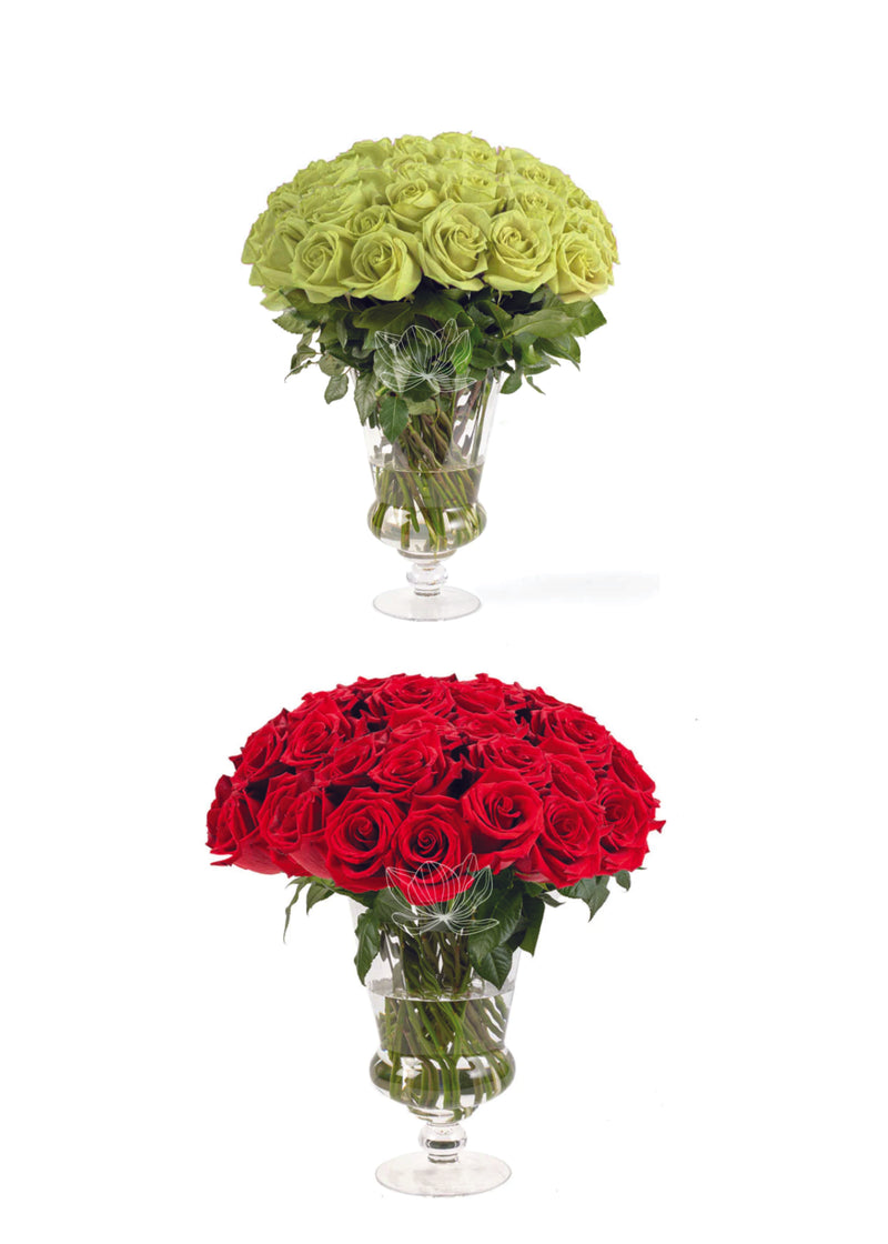 Roses 100 Stems of Red Farm Direct Fresh Cut Flowers with Hand