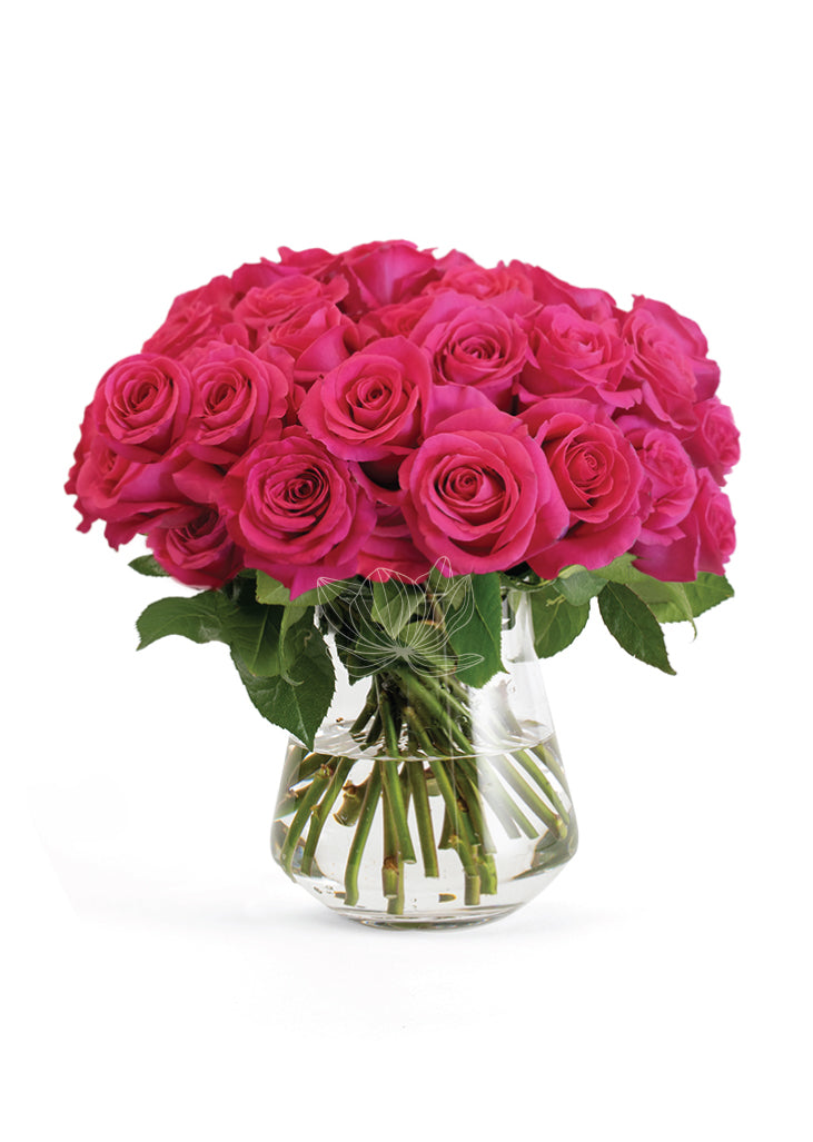 Hot Pink Long Stemmed Roses | Blooming Emotions