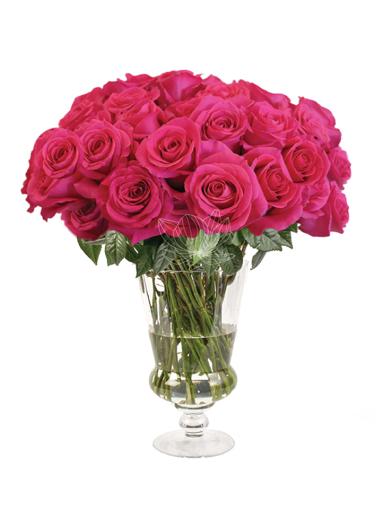 Hot Pink Long Stemmed Roses | Blooming Emotions