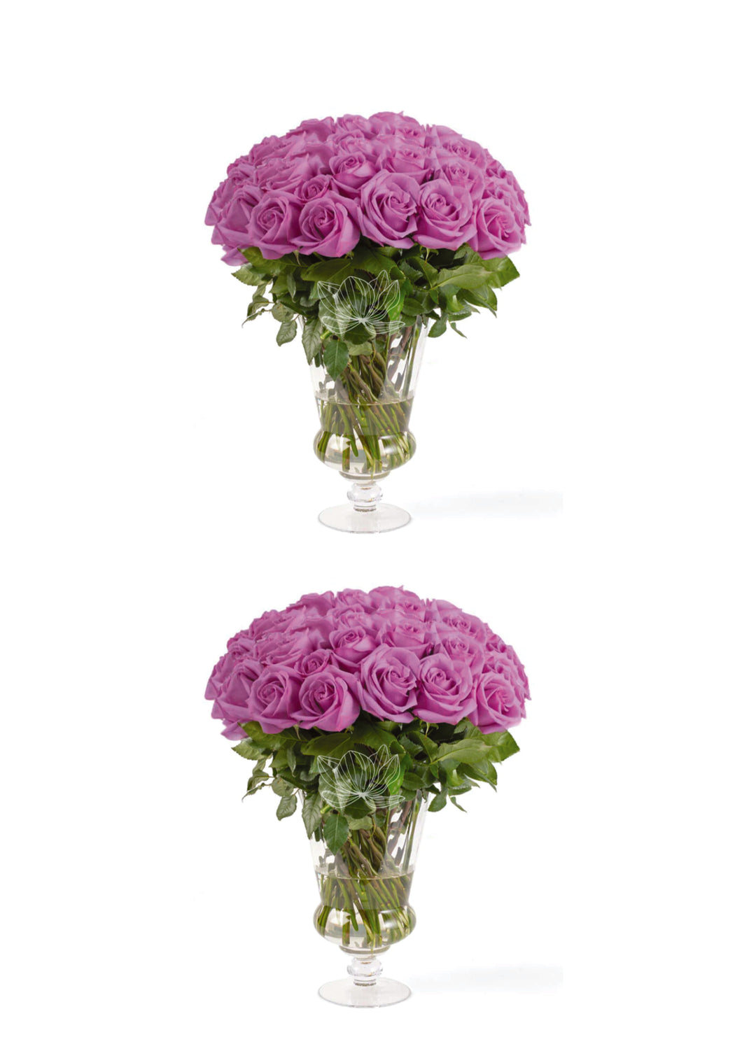 lavenderandlavender_1080x.jpg?