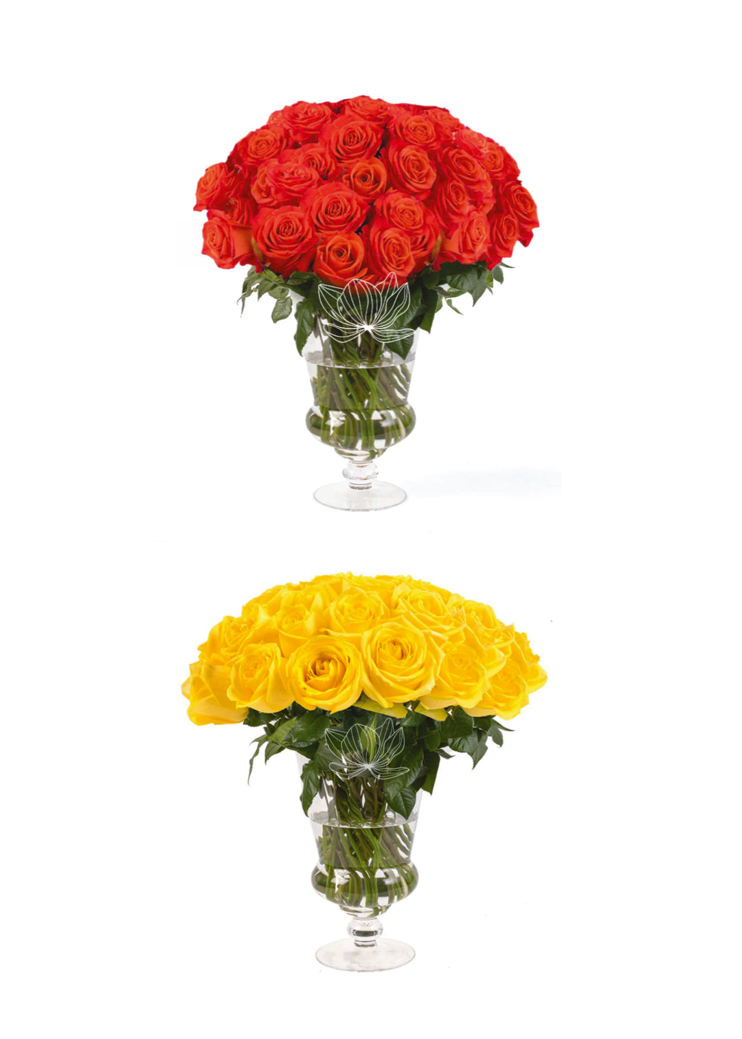 orangeandyellow_1080x.jpg?v=