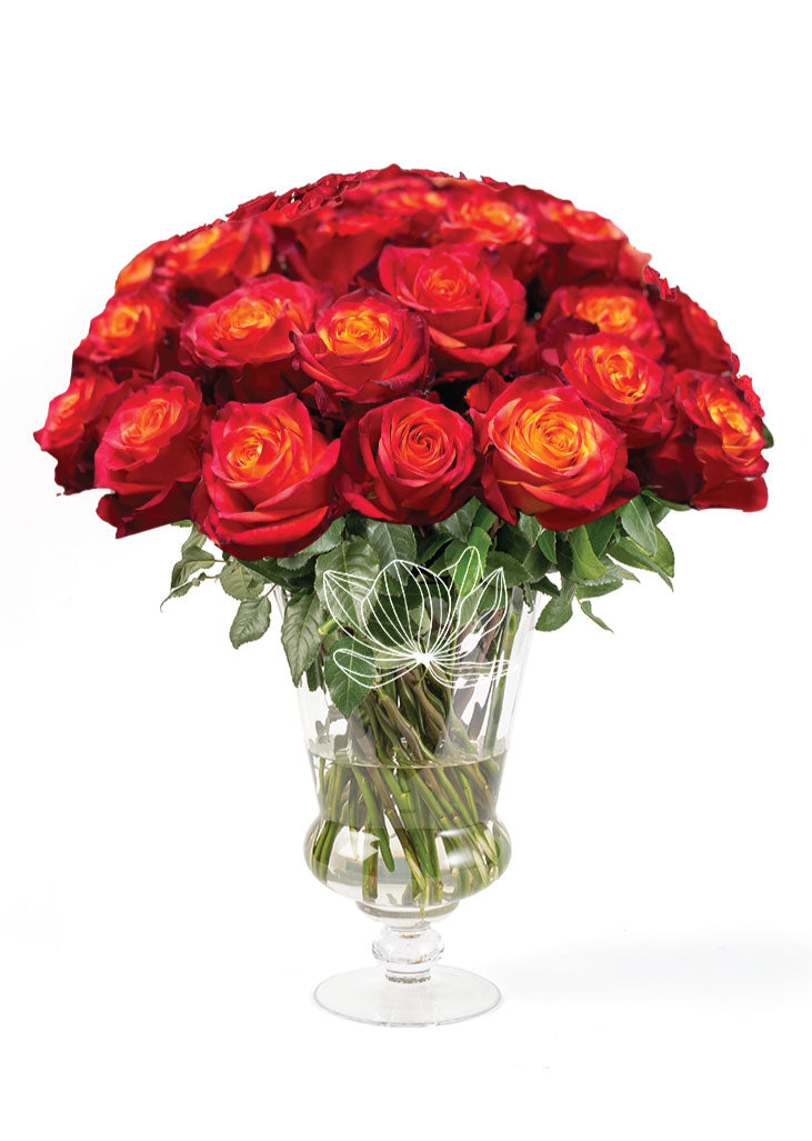 Bi-color Deep Orange & Yellow Long Stemmed Roses | Blooming Emotions ...