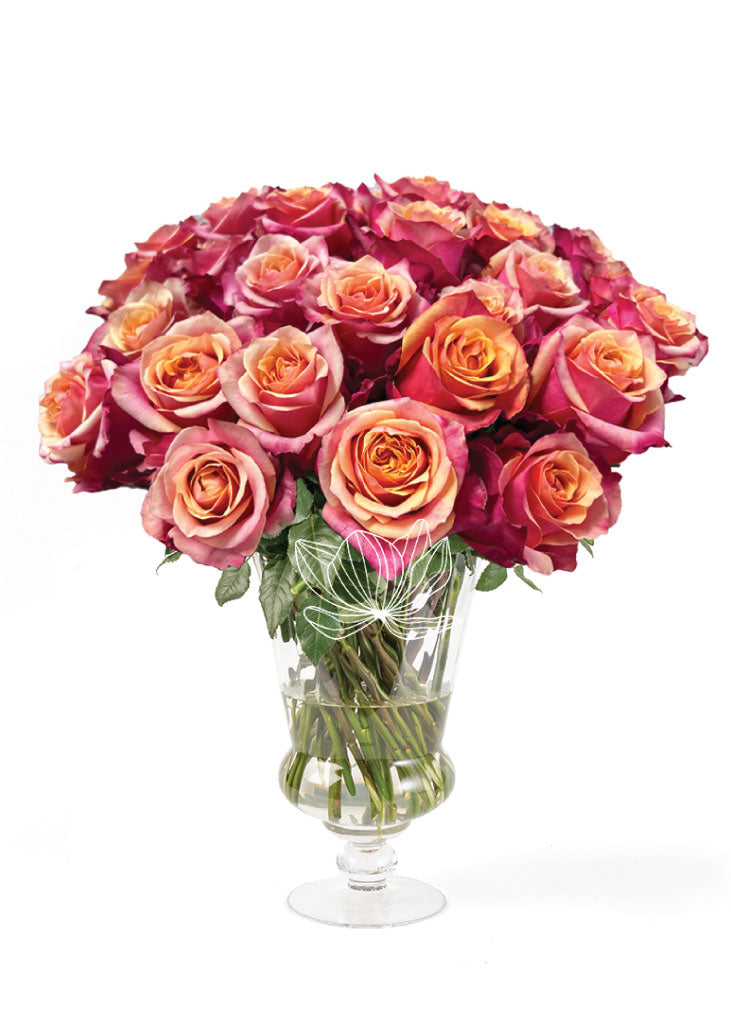 Bi-color Orange & Pink Long Stemmed Roses | Blooming Emotions ...