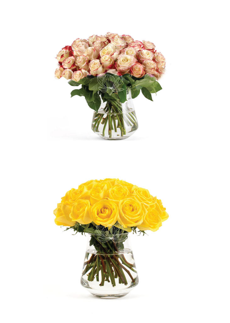50 Roses Build your Box · Long Stems 20 "