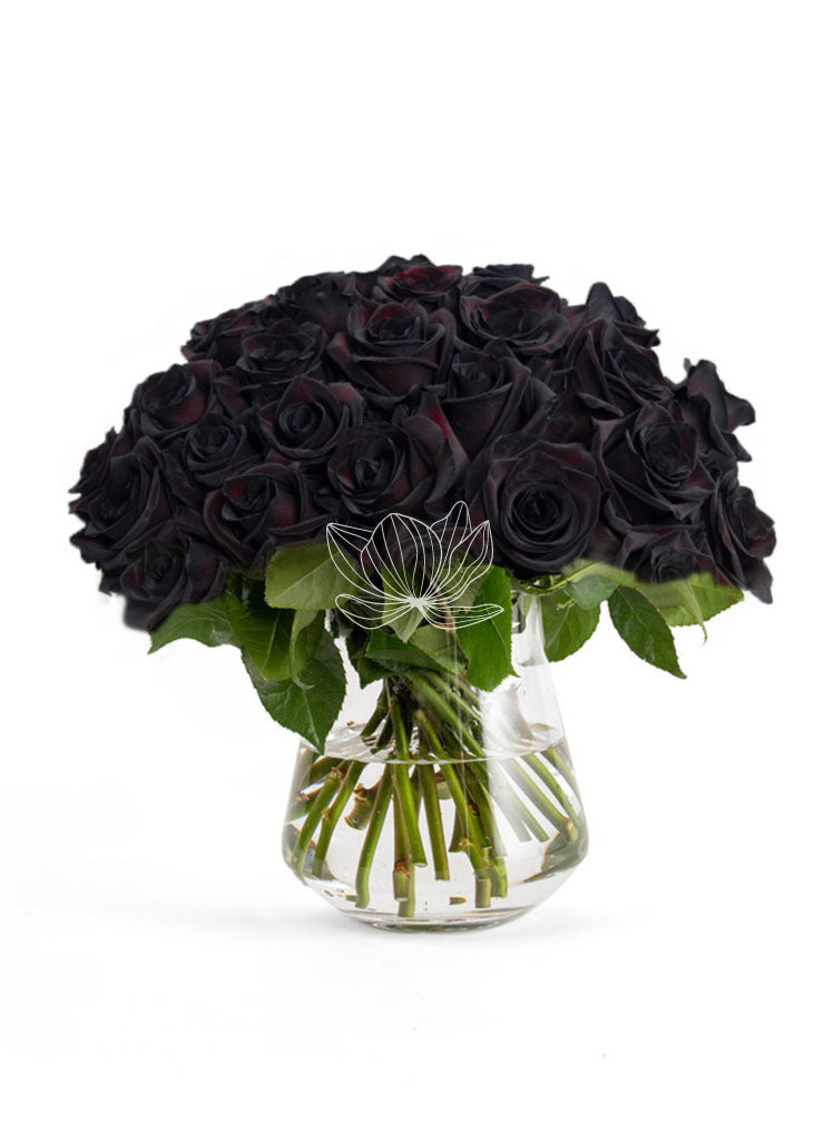 Blackjack tinted long stem Ecuadorian roses luxury bulk