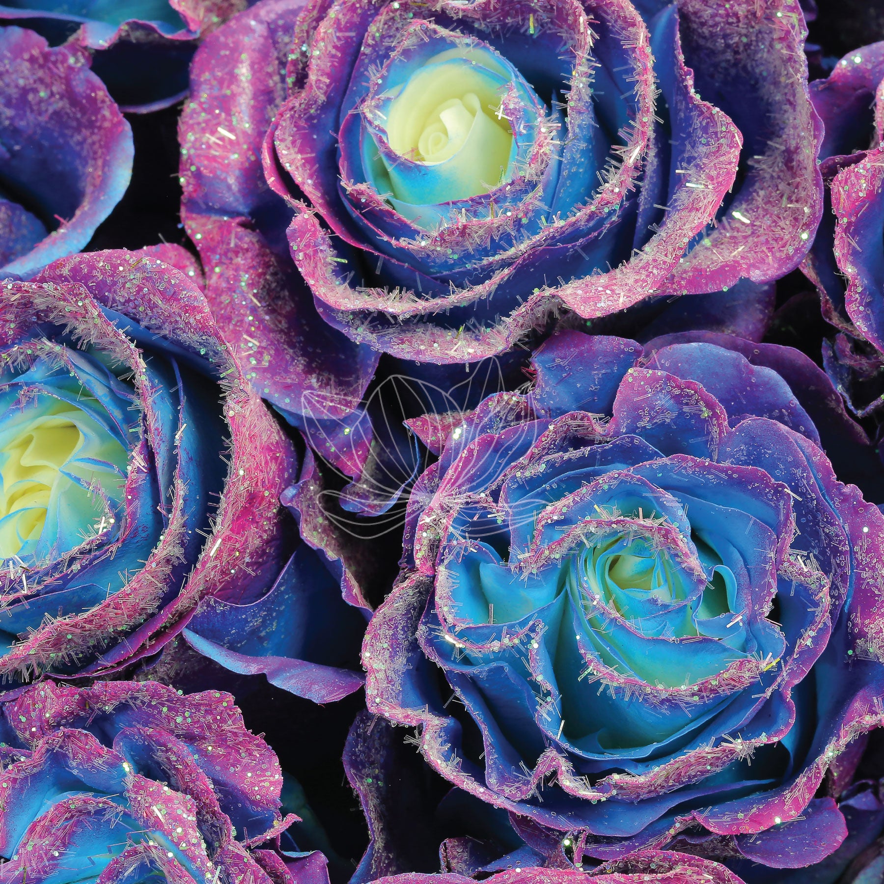 Blue Cosmic Tinted Long Stem Roses | Online Gift Flowers | Blooming ...
