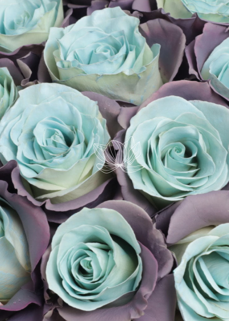Blue Lavender Roses | Blooming Emotions