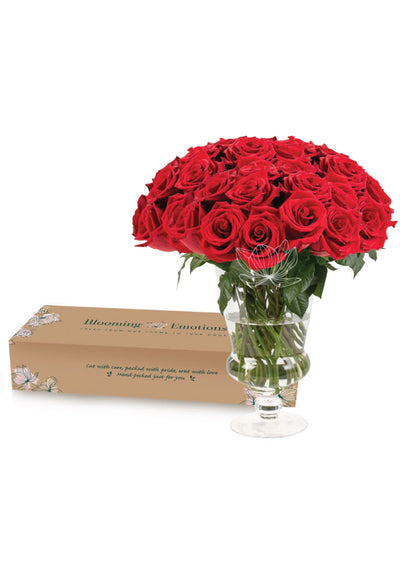 Fresh Roses in Elegant Gift Box