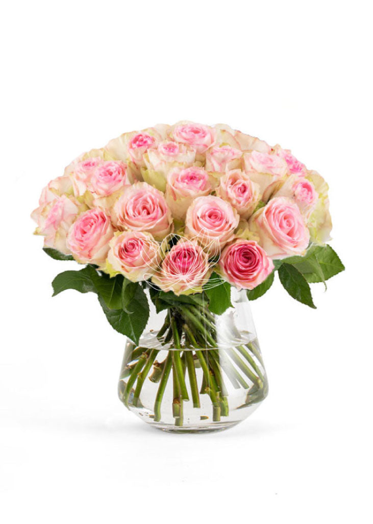Bi-colored Cream & Pink Long Stemmed Roses | Blooming Emotions
