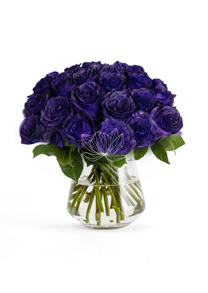 Purple Tinted Long Stem Roses
