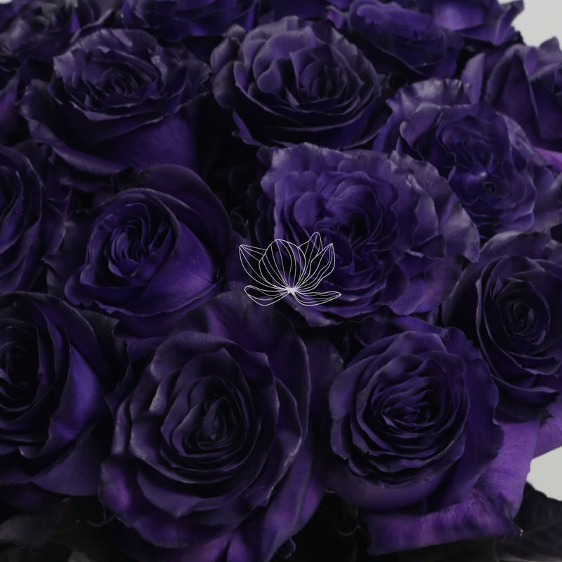 Dark Purple Tinted Long Stem Roses