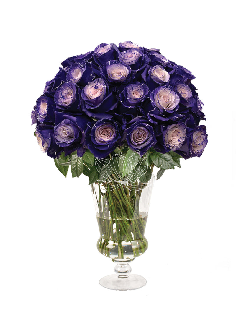 Enchanted Andrea Tinted Roses (Purple & White)
