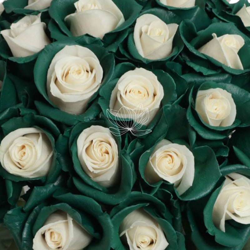 Green Candy Tinted Long Stem Roses