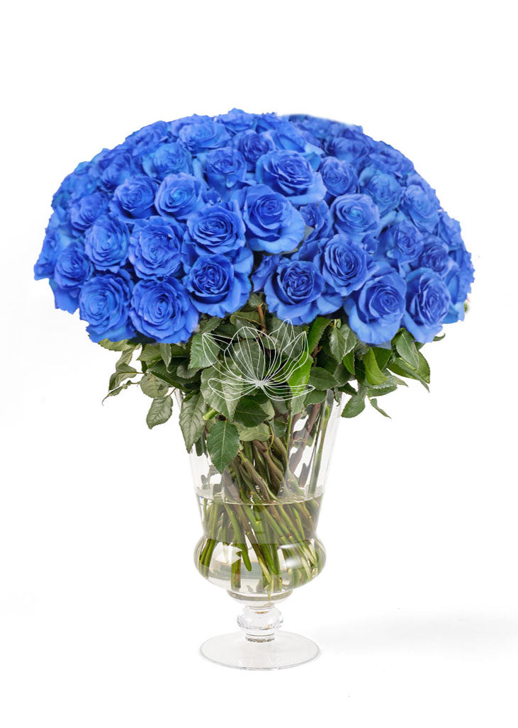 Light Blue Long Stemmed Roses | Blooming Emotions