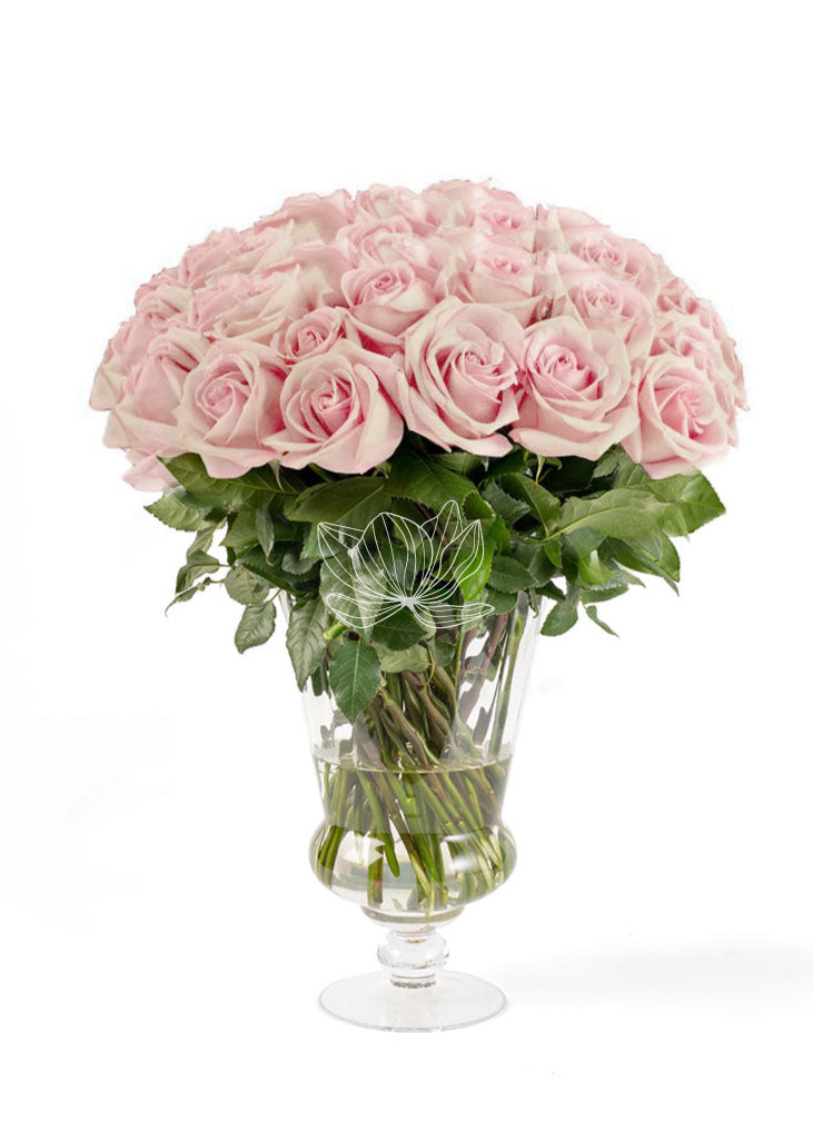 Light Pink Long Stemmed Roses | Blooming Emotions