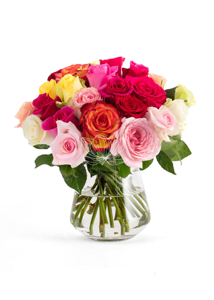 Light Pink, Red, Bi-colored, White, Yellow, Cream Long Stem Roses ...