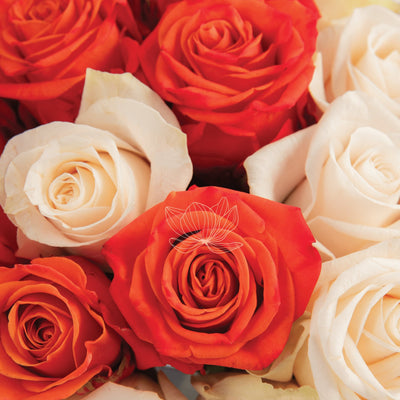 Cream & Orange Long Stemmed Roses | Blooming Emotions