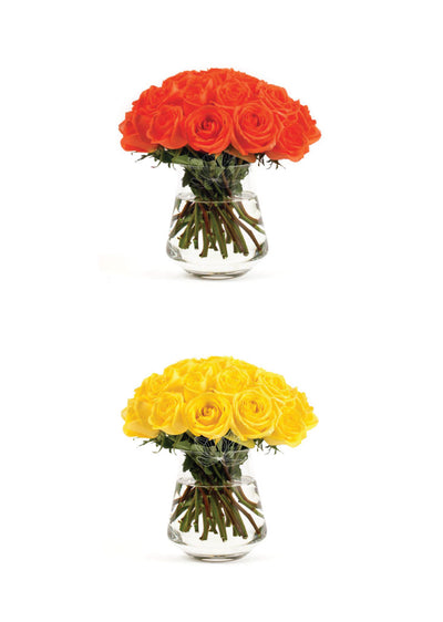 50 Roses Build your Box · Long Stems 20 "
