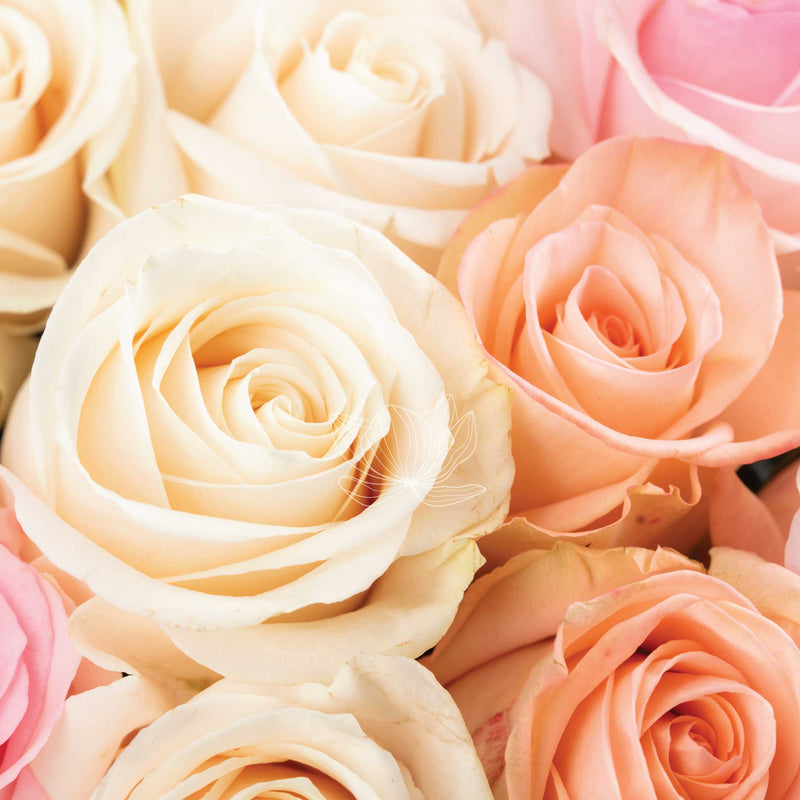 Light-Pink, Cream & Peach Long Stemmed Roses | Blooming Emotions