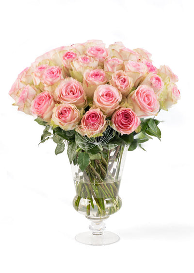 Cream Pink Long Stemmed Roses | Blooming Emotions