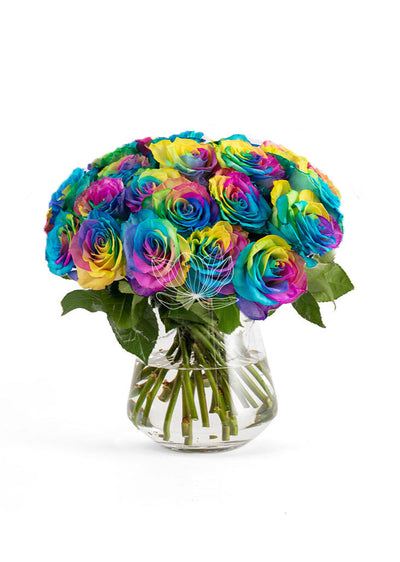 Rainbow Long Stemmed Roses | Blooming Emotions