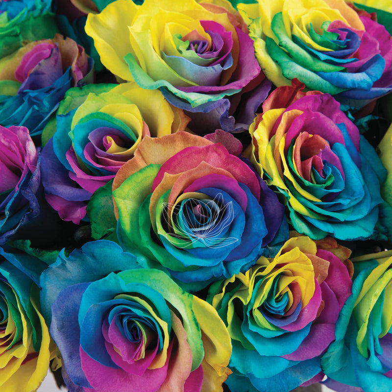 Tinted Long Stem Roses | Online Gift Flowers | Blooming Emotions