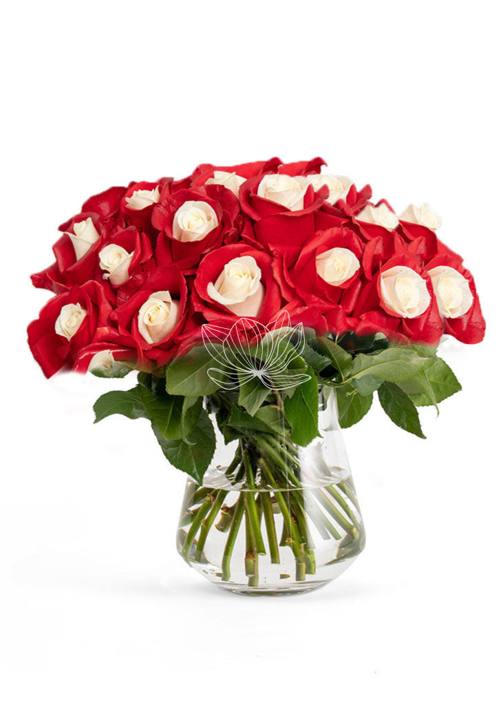 Red Candy Tinted Long Stem Roses | Online Gift Flowers | Blooming ...