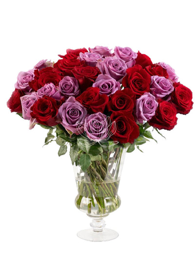 Red & Lavender Long Stemmed Roses | Blooming Emotions