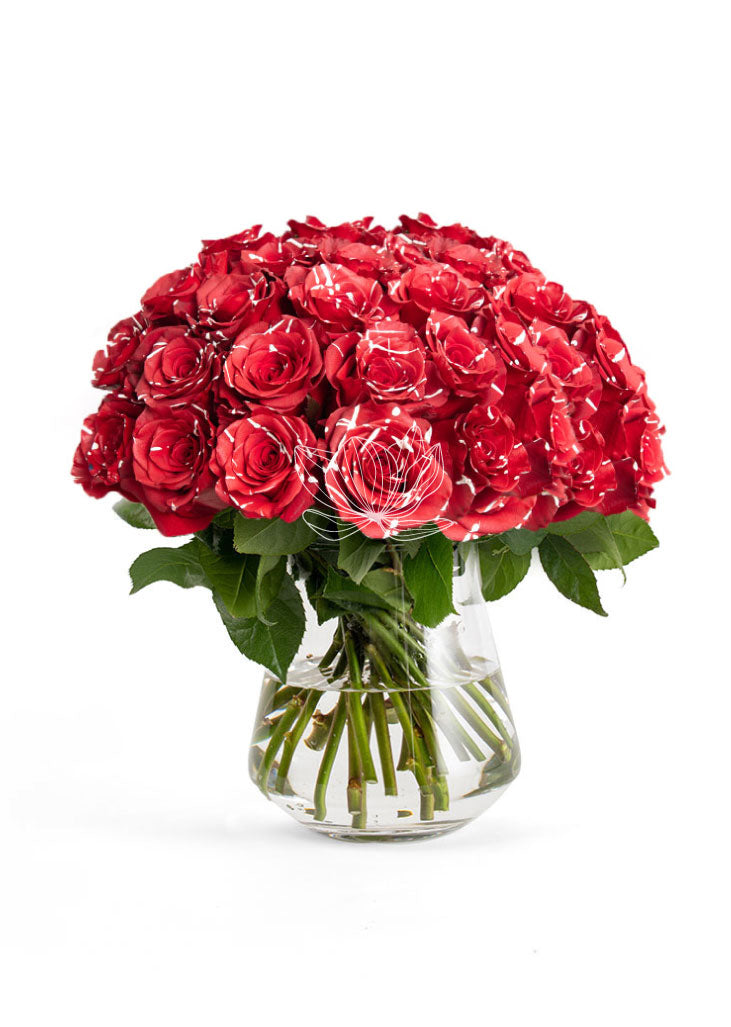 Tinted Red Mistletoe Long Stem Roses | Blooming Emotions