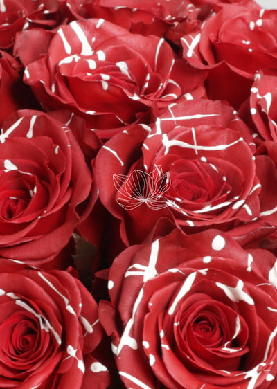 Tinted Red Mistletoe Long Stem Roses