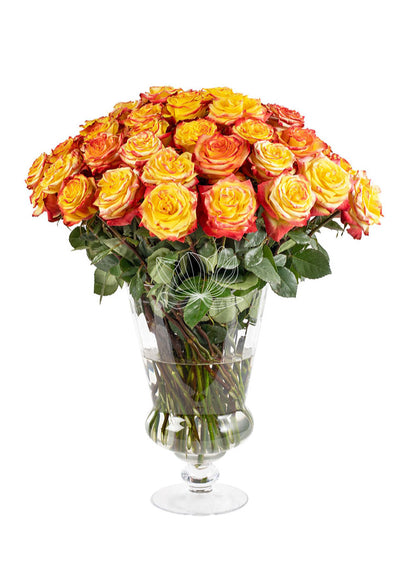 Yellow & Red Long Stemmed Roses | Blooming Emotions