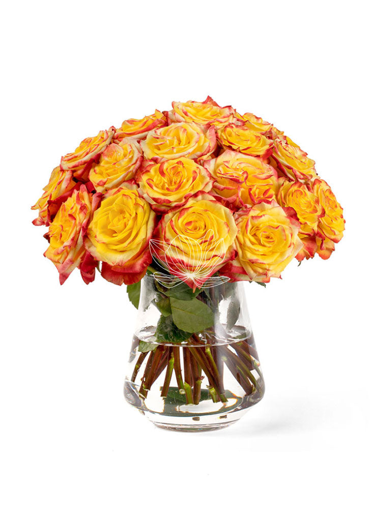 Bi-Colored Red-Yellow Long Stem Roses | Blooming Emotions ...