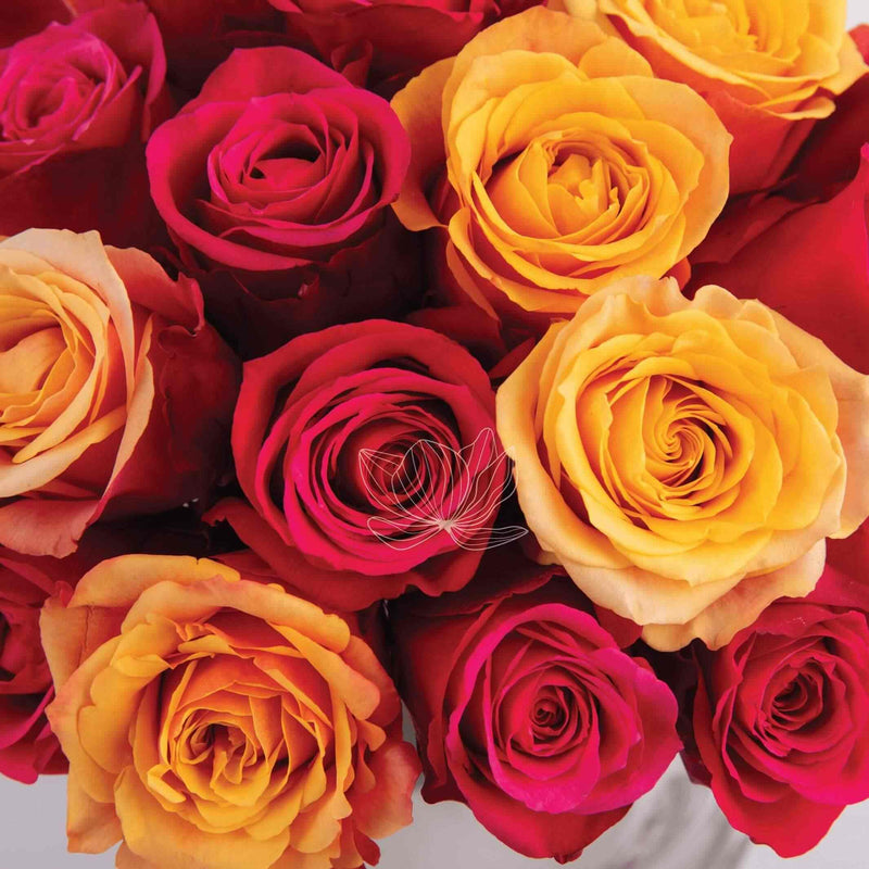 Orange & Red Long Stemmed Roses | Blooming Emotions