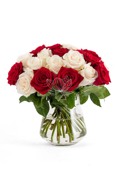 Red & White Long Stemmed Roses | Blooming Emotions