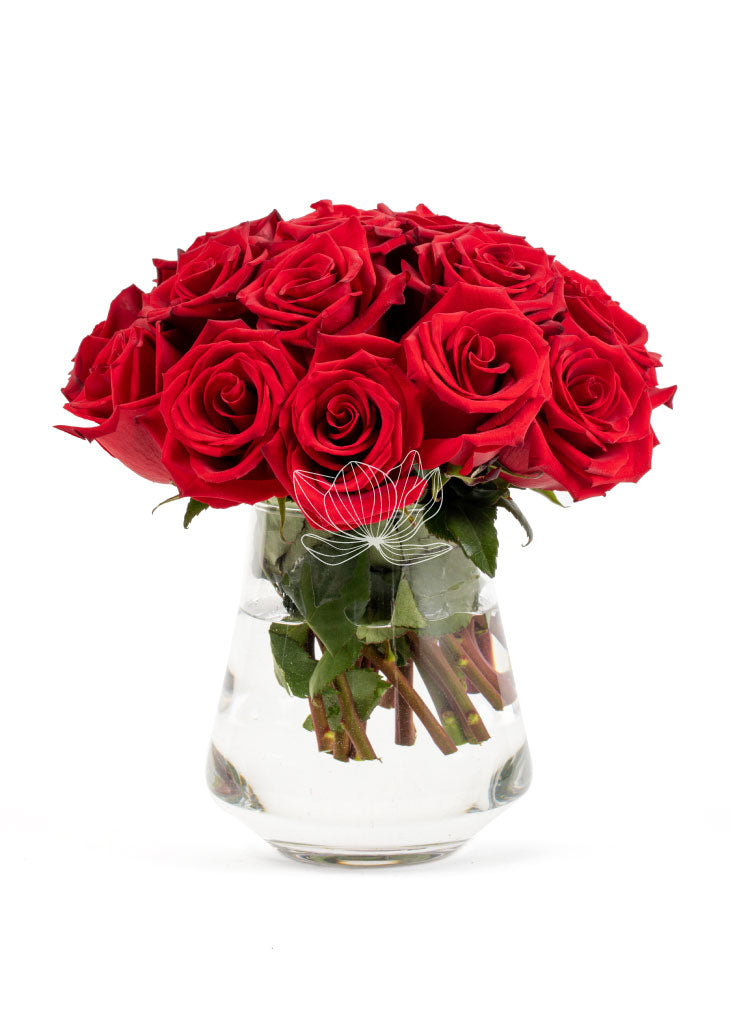 Premium red long stem Ecuadorian roses wholesale Valentine's Day