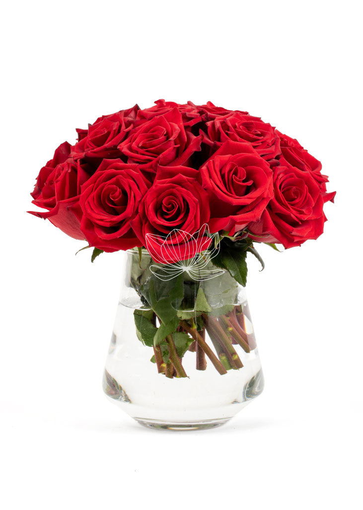 Red Long Stemmed Roses | Blooming Emotions