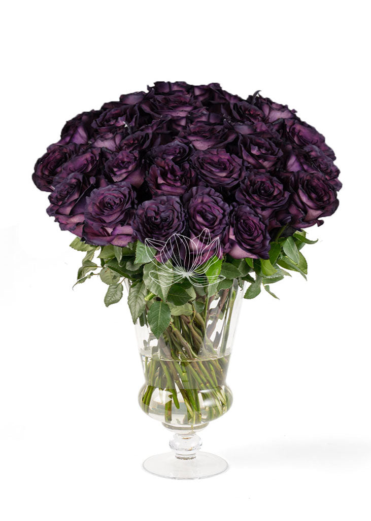 Royal Purple Long Stemmed Roses | Blooming Emotions