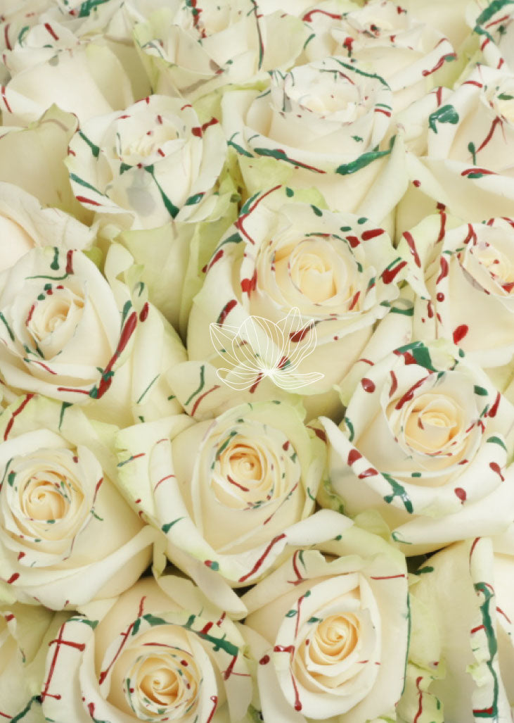 White-mistletoe Tinted Long Stem Roses