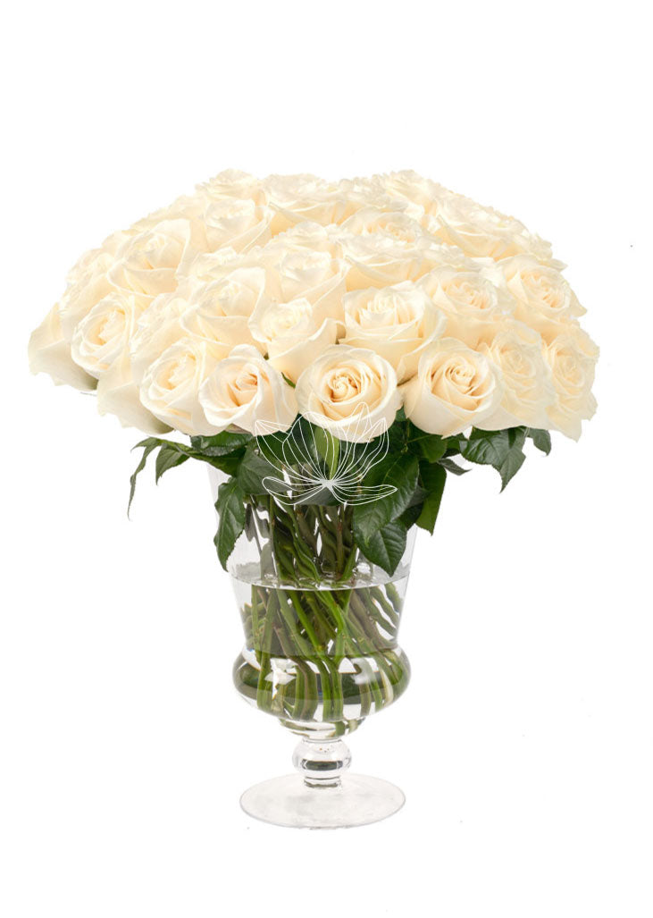 White Long Stemmed Roses | Large Stem Roses | Blooming Emotions ...